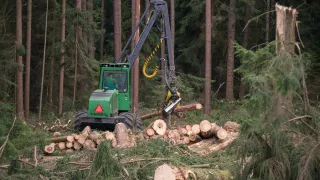 Strom dokáže harvestor naporcovat doslova za pár s