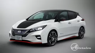 Niisan Leaf Nismo 1