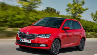 2. Škoda Fabia (172 800 ks)