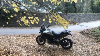 Triumph Tiger 1200 GT Pro