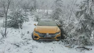 Krádež, nebo zastírání ostudy? Volkswagen Arteon zapadlý v lese pod Jedlovou horou baví internet