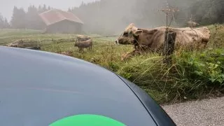 1000 Miglia Warm Up Austria