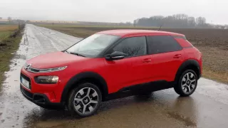 CITROËN C4 CACTUS 11