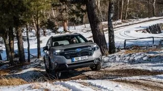Subaru Forester 2025, první dojmy