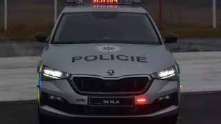 policejní Scaly