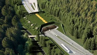 Přechod pro medvědy za 155 milionů. Na unikátní stavbu se čeká 20 let
