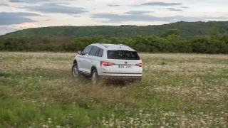 Škoda Kodiaq je centrem pozornosti 1