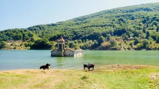 Na mnoha místech zvířata převyšují počty turistů