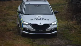 policejní Scaly