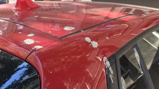 Zaplatili jsme 12 tisíc za poškození auta ptačím trusem. Pojišťovny od toho dávají ruce pryč