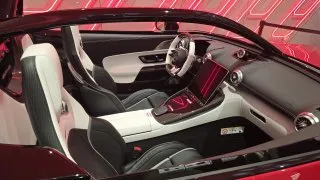 Mercedes-AMG PureSpeed