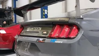 Unitesta