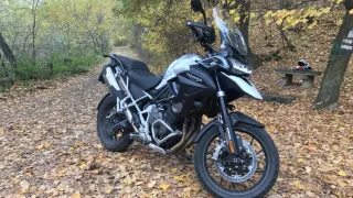 Triumph Tiger 1200 GT Pro