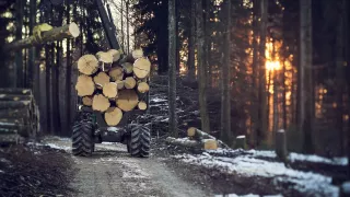 Působivá technika pro lesní těžbu. Většinou obouvá