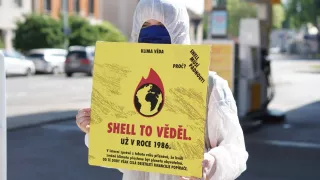 Protest Shell