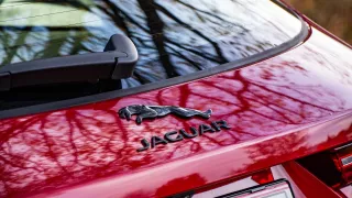 Jaguar F-Pace D300 2023