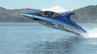 Člun, skútr, delfín? - Obrázek 1