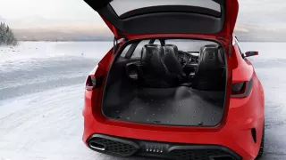 Kia Sportspace