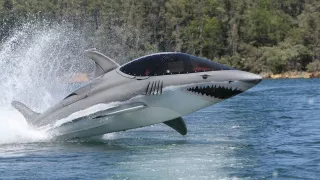 Člun, skútr, delfín? - Obrázek 2