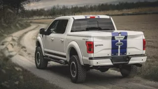 Ford F-150 Shelby Super Snake 5