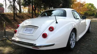 Mitsuoka Roadster - Obrázek 3