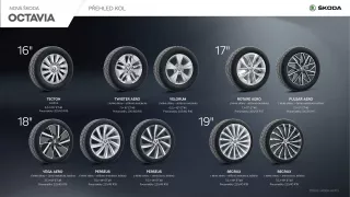 Škoda Octavia 4. inforgrafika