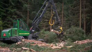 Strom dokáže harvestor naporcovat doslova za pár s