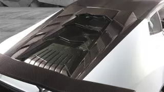 Mansory Trofeo 