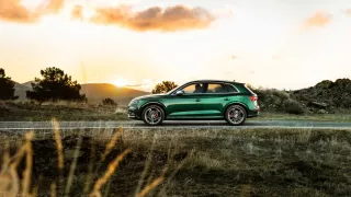 Audi SQ5 TDI 6