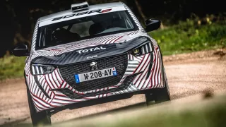 Peugeot 208R2 6