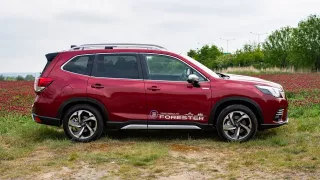 Subaru Forester 2024