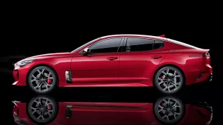 Kia Stinger je žihadlo - Obrázek 15