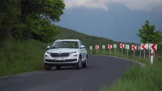 Škoda Kodiaq je centrem pozornosti 9