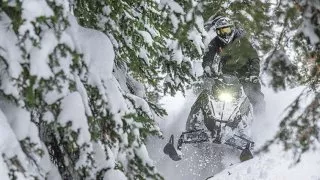 Polaris