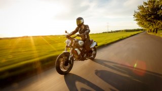 Ducati Scrambler 1100 carshot 5