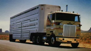 White Western Star