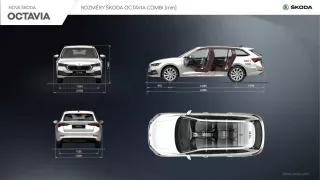 Škoda Octavia 4. inforgrafika