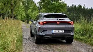 Cupra Formentor 2.0 TSI 204k 4WD DSG