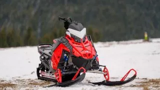 Polaris
